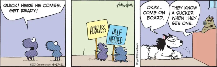 Dogs of C-Kennel for Jun 17, 2021