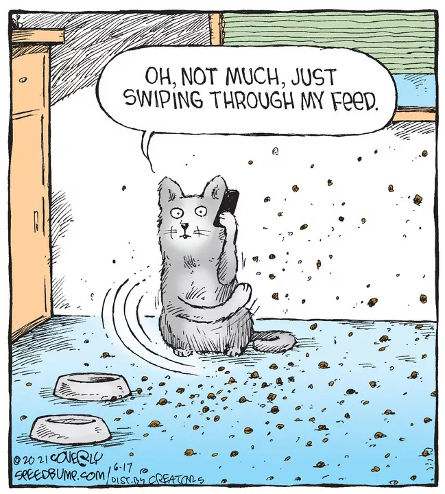 Speed Bump for Jun 17, 2021