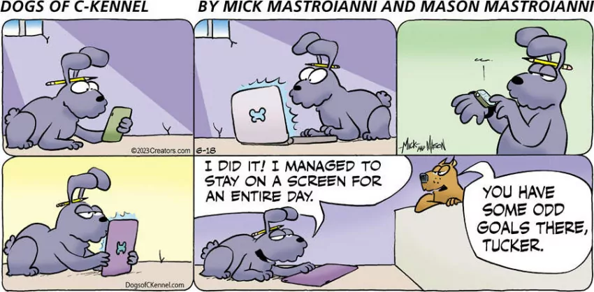 Dogs of C-Kennel for Jun 18, 2023