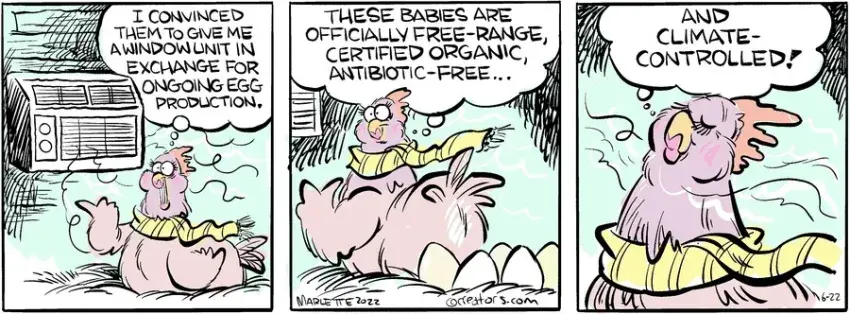 Shrimp and Grits for Jun 22, 2024