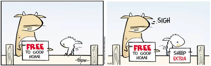 The Barn for Jun 23, 2023