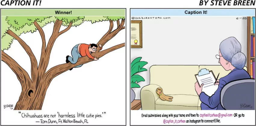 Caption It! for Jun 25, 2023