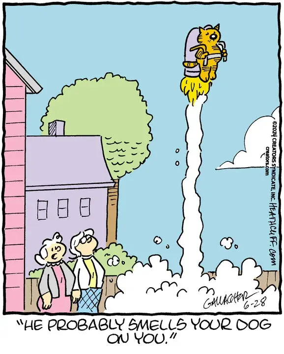 Heathcliff for Jun 28, 2024