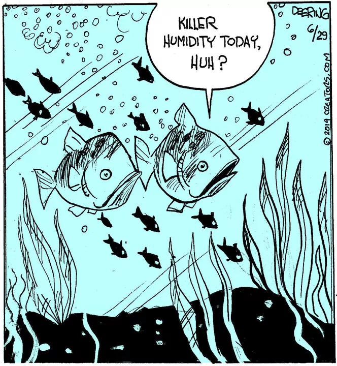 Strange Brew for Jun 29, 2023