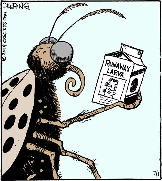 Strange Brew for Jul 01, 2023