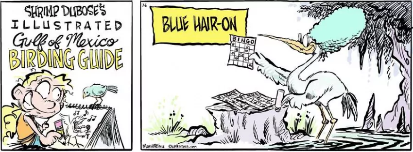 Shrimp and Grits for Jul 06, 2023