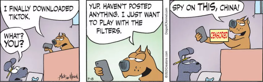 Dogs of C-Kennel for Jul 08, 2023