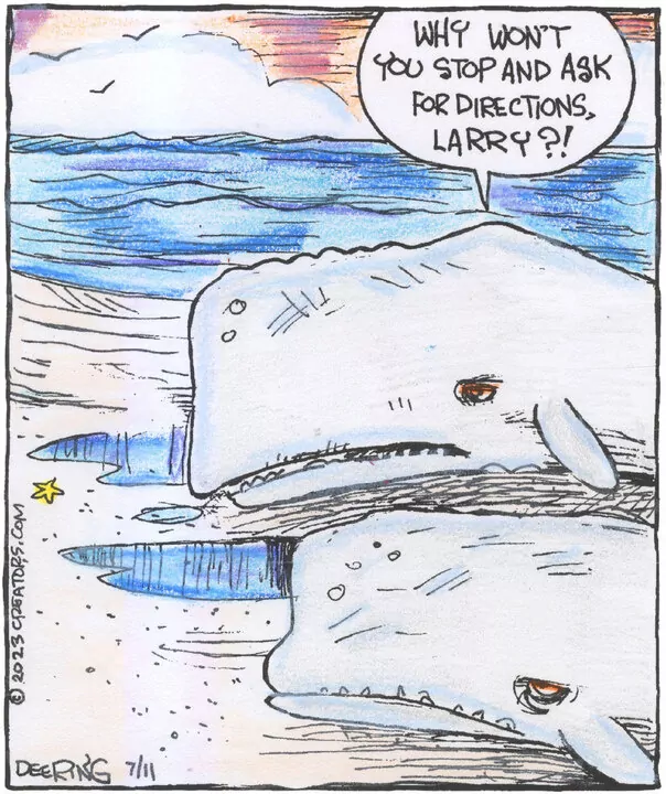 Strange Brew for Jul 11, 2023