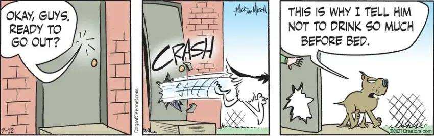 Dogs of C-Kennel for Jul 12, 2021