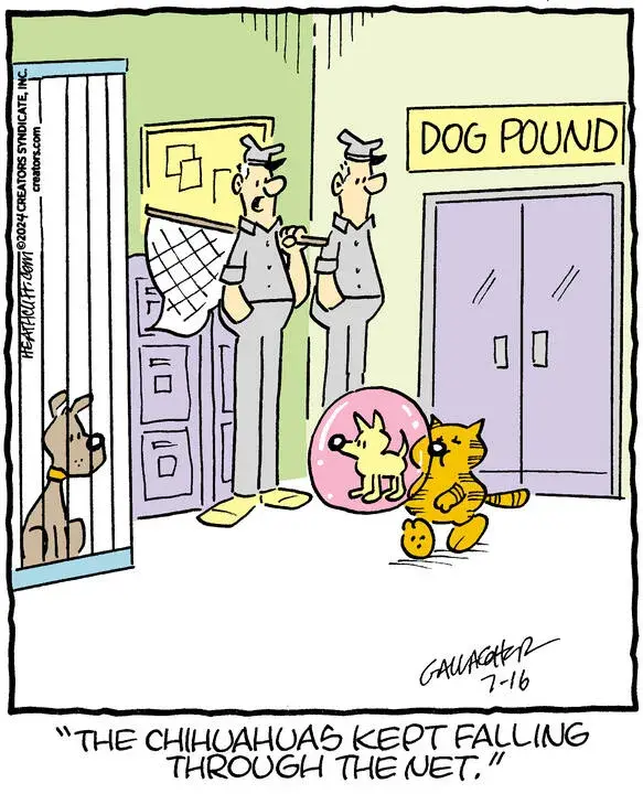 Heathcliff for Jul 16, 2024