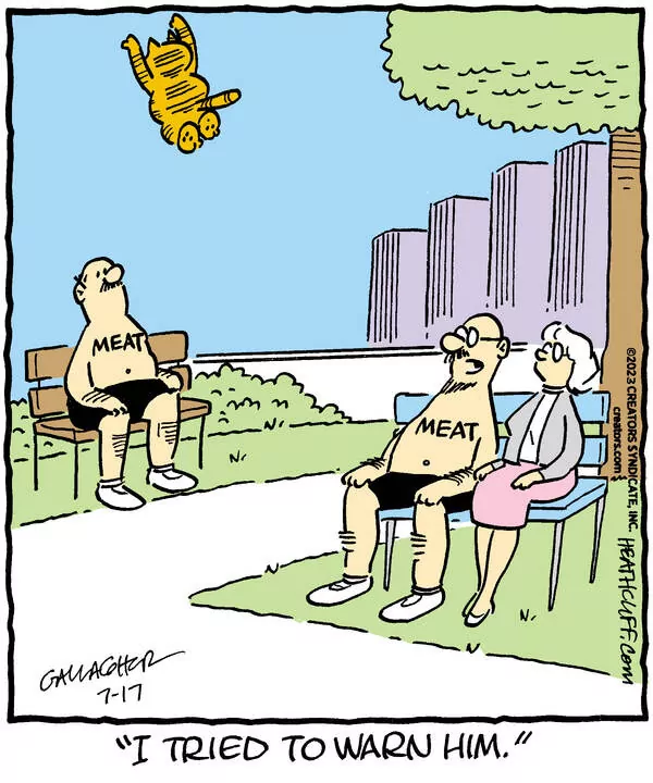 Heathcliff for Jul 17, 2023