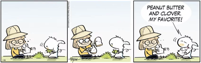 The Barn for Jul 18, 2023