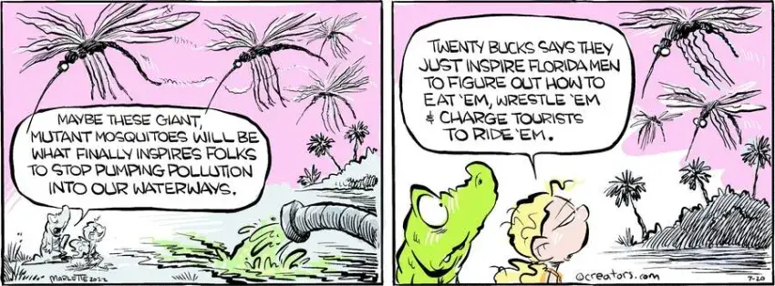 Shrimp and Grits for Jul 20, 2024