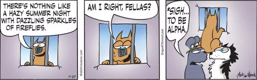Dogs of C-Kennel for Jul 27, 2023