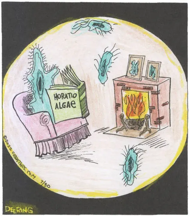Strange Brew for Jul 30, 2022