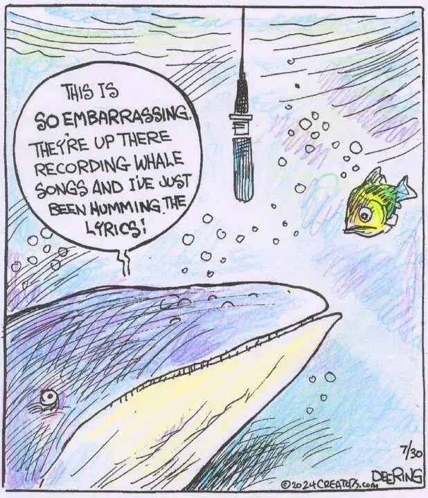 Strange Brew for Jul 30, 2024