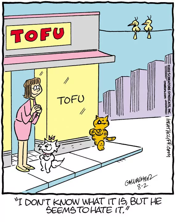 Heathcliff for Aug 02, 2023