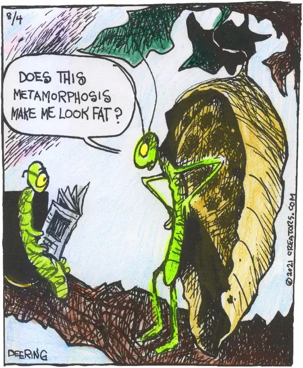 Strange Brew for Aug 04, 2021