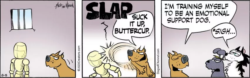 Dogs of C-Kennel for Aug 05, 2023
