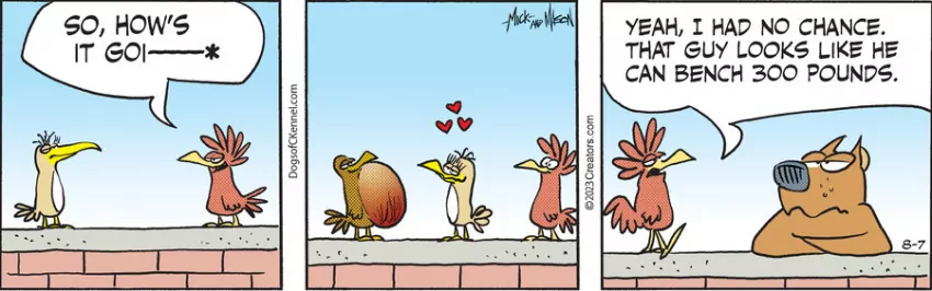 Dogs of C-Kennel for Aug 07, 2023