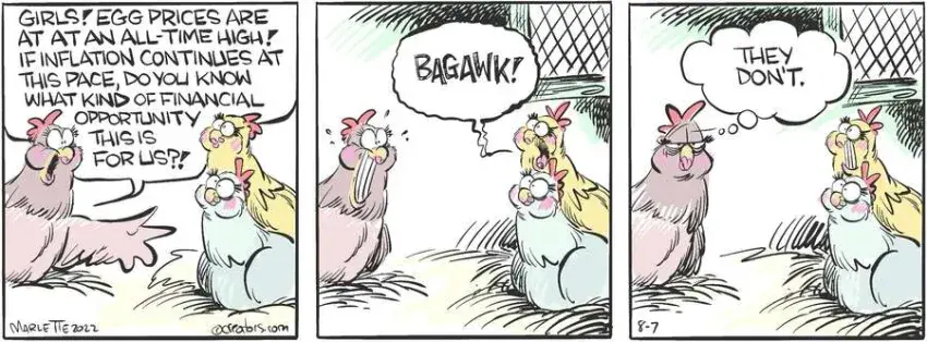 Shrimp and Grits for Aug 07, 2024