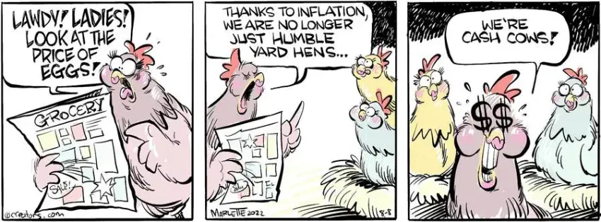 Shrimp and Grits for Aug 08, 2022