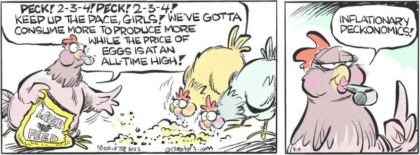 Shrimp and Grits for Aug 09, 2022