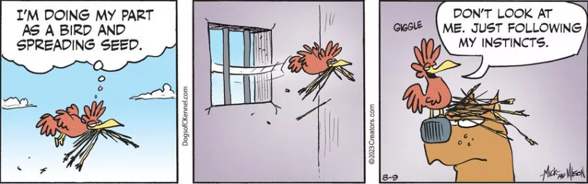 Dogs of C-Kennel for Aug 09, 2023
