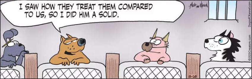 Dogs of C-Kennel for Aug 16, 2023
