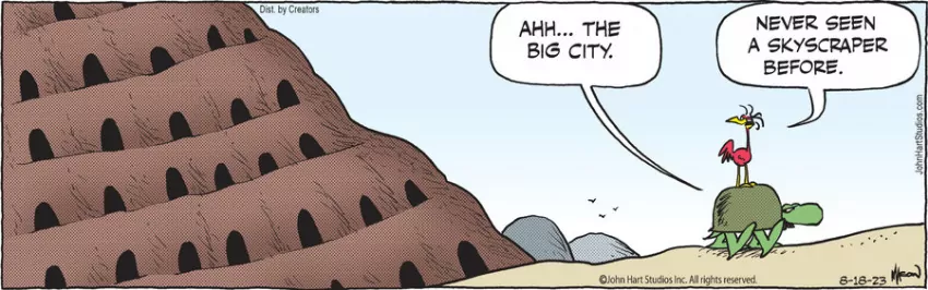 B.C. for Aug 18, 2023