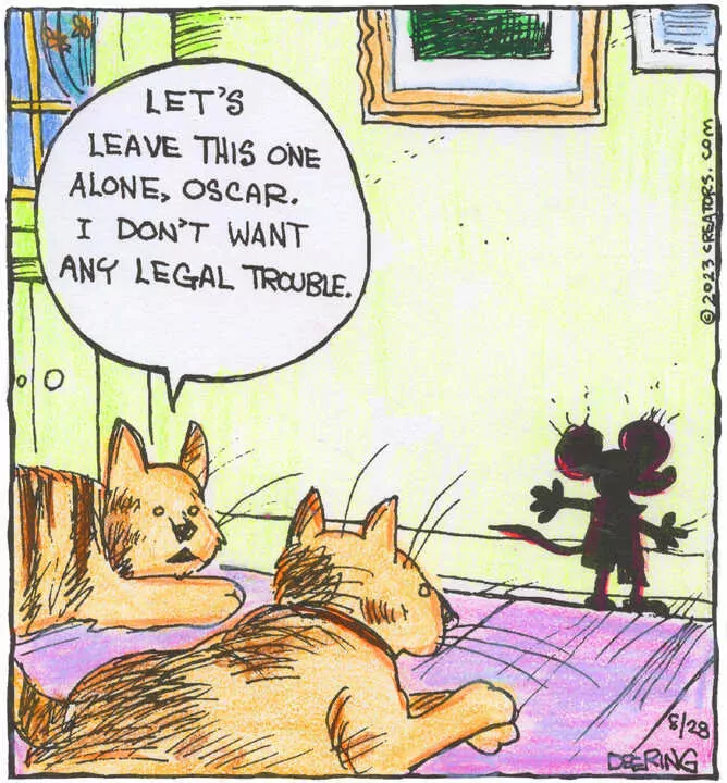 Strange Brew for Aug 28, 2023