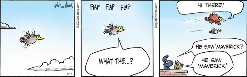 Dogs of C-Kennel for Sep 01, 2022