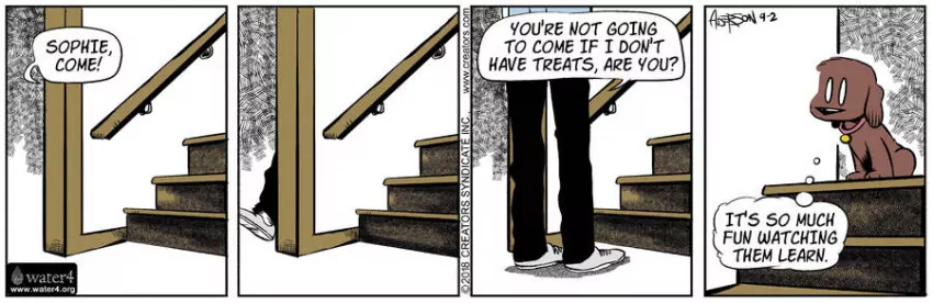 Dog Eat Doug for Sep 02, 2023