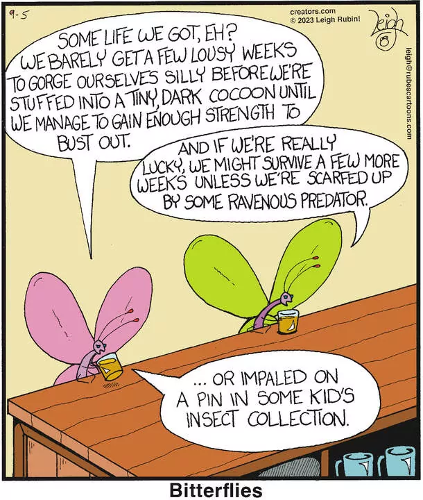 Rubes® for Sep 05, 2023