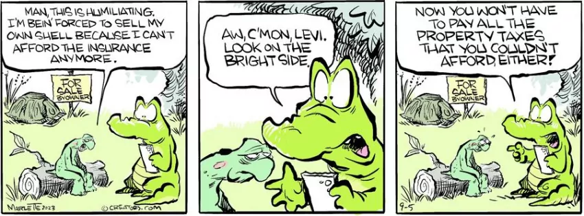 Shrimp and Grits for Sep 05, 2023