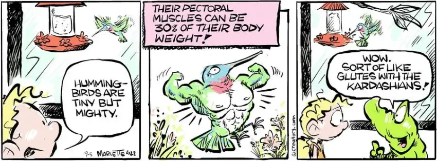 Shrimp and Grits for Sep 05, 2024