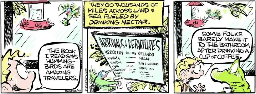 Shrimp and Grits for Sep 06, 2022