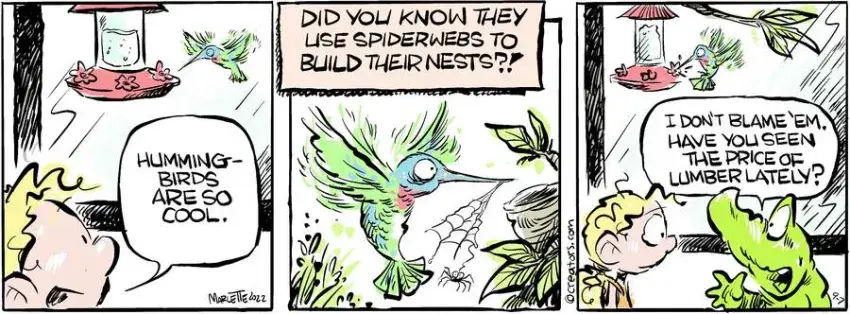 Shrimp and Grits for Sep 07, 2024