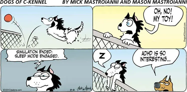 Dogs of C-Kennel for Sep 08, 2024