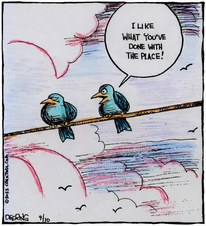 Strange Brew for Sep 10, 2022