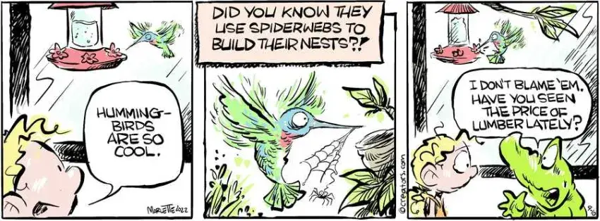 Shrimp and Grits for Sep 10, 2022