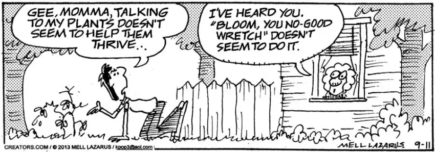 Momma for Sep 11, 2024