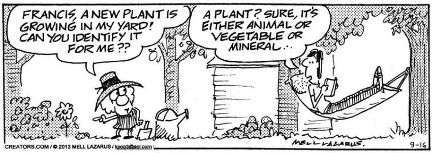 Momma for Sep 16, 2024