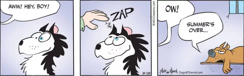 Dogs of C-Kennel for Sep 19, 2022