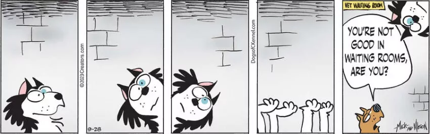 Dogs of C-Kennel for Sep 28, 2023