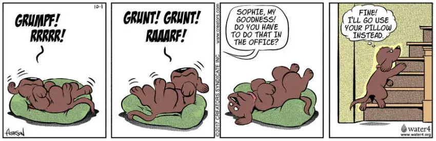 Dog Eat Doug for Oct 01, 2022