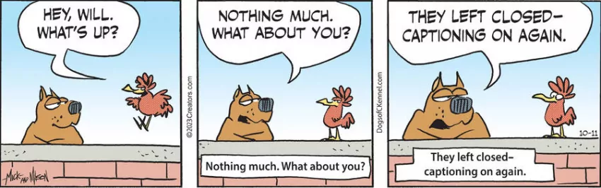 Dogs of C-Kennel for Oct 11, 2023