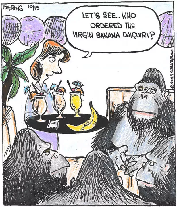 Strange Brew for Oct 13, 2023