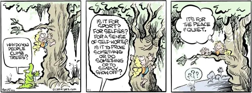 Shrimp and Grits for Nov 01, 2022