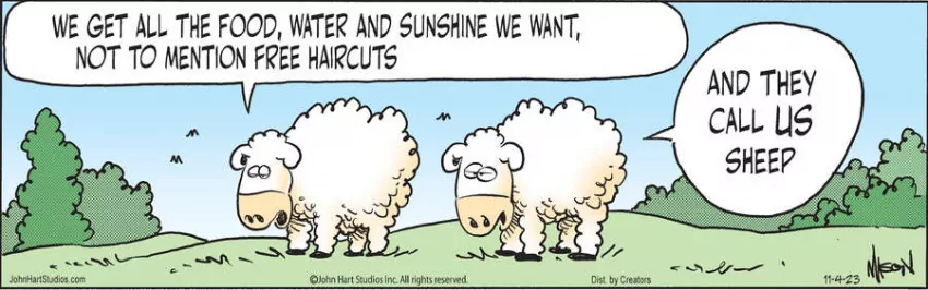 Wizard of Id for Nov 04, 2023